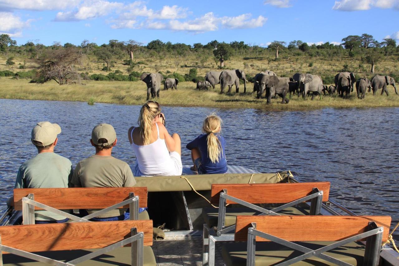 Chobe River Campsite Ngoma Kültér fotó